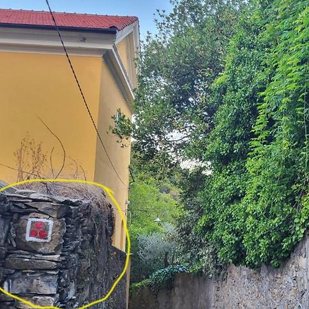 Casaviva - Magical Bilo In Camogli Leilighet Eksteriør bilde